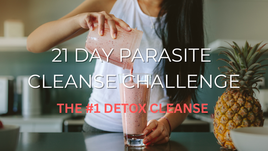 Best Parasite Cleanse for Beginners