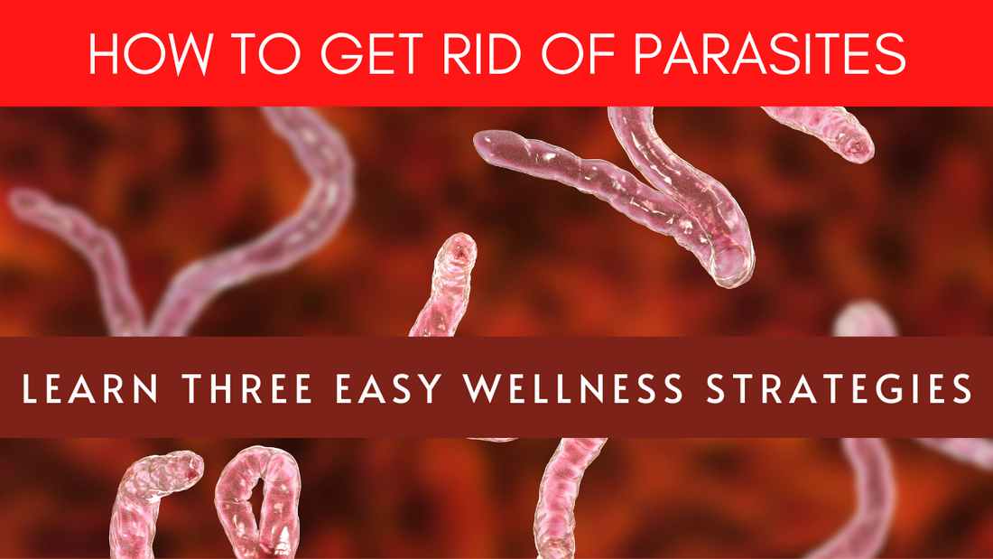 How to Get Rid of Parasites