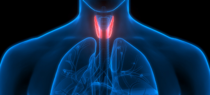 Parathyroid Imbalance Can Cause Anxiety and Depression