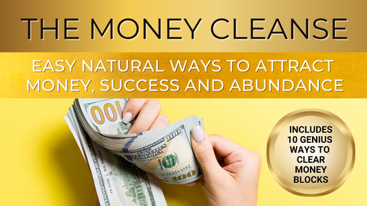 The Money Cleanse